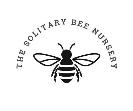 image of a bee with text
